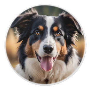 Australiensisk herdehund keramisk söt hundknopp knopp