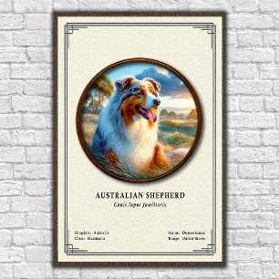 Australiensisk herdehund Zoologisk serie Poster