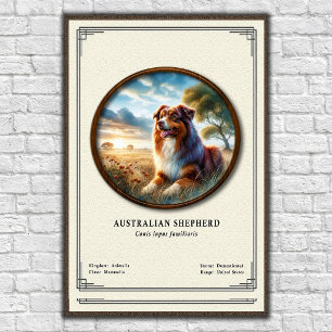 Australiensisk herdehund Zoologisk serie Poster