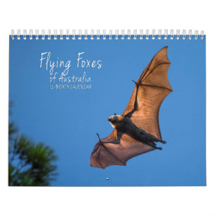 Australiensisk kalender för flygrävfladdermöss