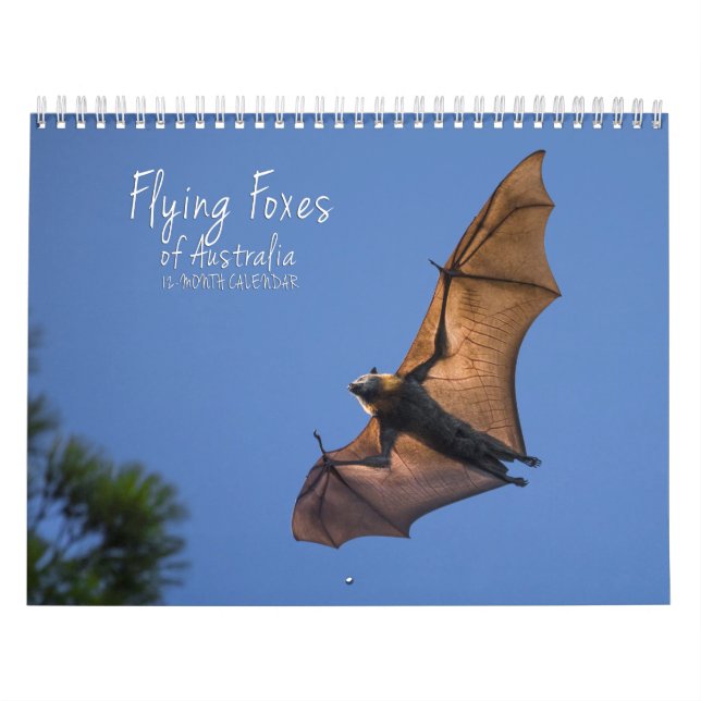 Australiensisk kalender för flygrävfladdermöss - 3 (Omslag)