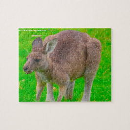 Australiensisk känguru pussel