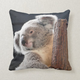 Australiensisk Koala Kudde