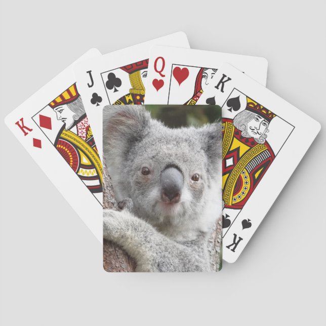Australiensisk Koala Spel Kort (Baksidan)