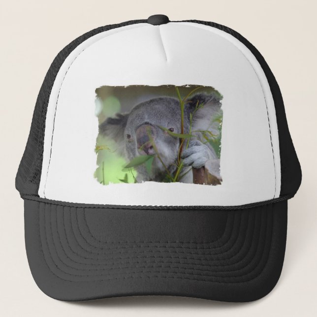 Australiensisk Koalabaseballhatt Truckerkeps (Framsida)