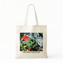 Australiensisk kungpapegoja