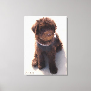 AUSTRALIENSISK LABRADOODLE-VALP CANVASTRYCK