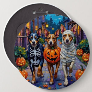 Australiensisk nötkreatur busar på halloween knapp