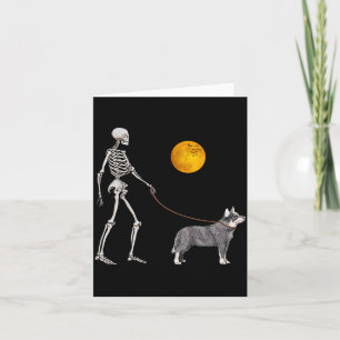 Australiensisk Nötkreatur Skelett Hund Går Hallowe Kort