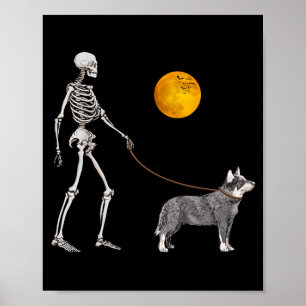Australiensisk Nötkreatur Skelett Hund Går Hallowe Poster