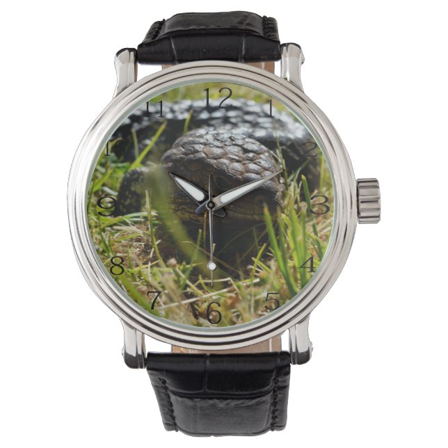 Australiensisk ödla (Stumpy)    Armbandsur (Framsida)