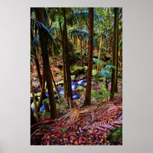 Australiensisk Rainforest Poster