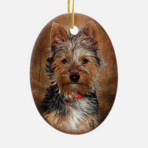 Australiensisk silkeslen Terrier Julgransprydnad Keramik