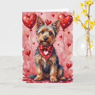 Australiensisk Silky Terrier Valentine Hund Sittan Kort