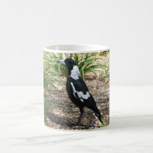 Australiensisk skatamugg kaffemugg