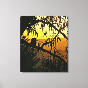 Australiensisk solnedgång Kookaburra Silhouette Canvastryck