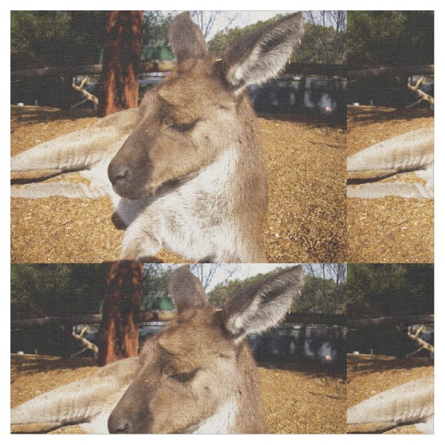 Australiensisk sömnig känguru närbild, tyg (Närbild)