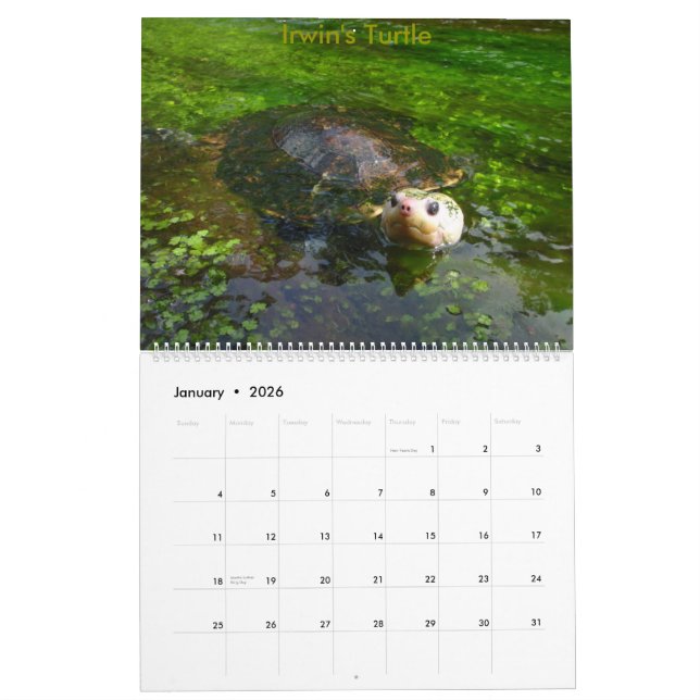 Australiensisk sötvattens- sköldpaddakalender för kalender (Jan 2026)
