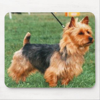 Australiensisk Terrier Mousepad Musmatta
