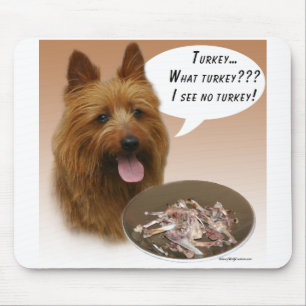 Australiensisk Terrier Turkiet Musmatta