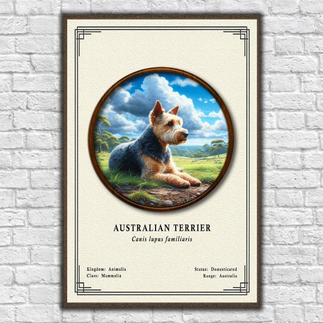 Australiensisk terrier zoologisk serie poster (Skapare uppladdad)