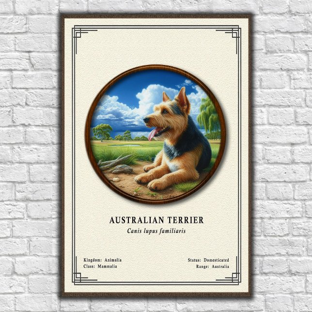 Australiensisk terrier zoologisk serie poster (Skapare uppladdad)