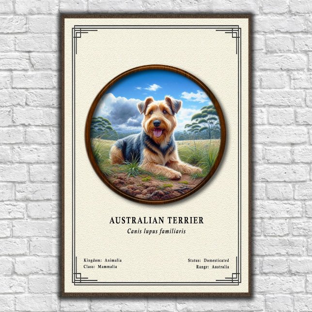 Australiensisk terrier zoologisk serie poster (Skapare uppladdad)