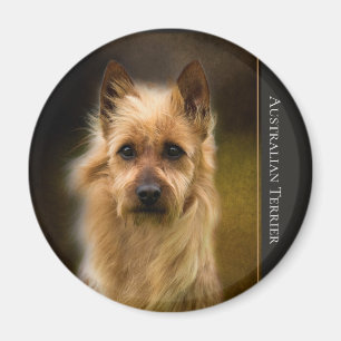Australiensisk Terriermagnet Magnet