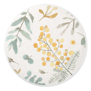 Australiensisk wattle- och knopp