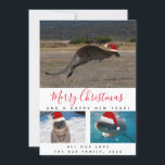 Australiensiska djur Röd Script Multi Foto Collage Julkort<br><div class="desc">Vem älskar inte dessa ikoniska australiensiska djur? Gör allas jul hos familj och vänner mycket gladare genom att skicka dem detta unika gratulationskort med en känguru, quokka och en vit haj; alla med en söt tomtehatt för högtiden. Kortet har en röd scriptstil och tre foton. Anpassa gärna texten och fotona...</div>