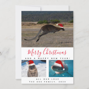 Australiensiska djur Röd Script Multi Foto Collage Julkort
