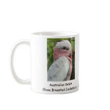 Australiensiska Galah (steg den gick mot