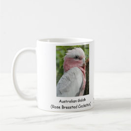 Australiensiska Galah (steg den gick mot Kaffemugg