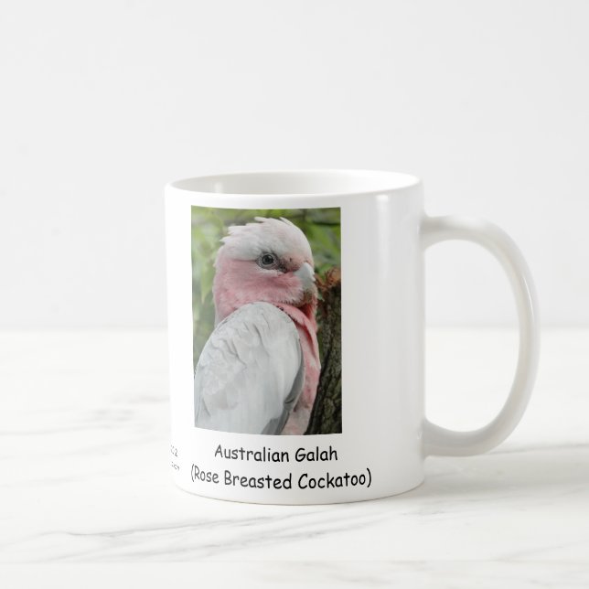 Australiensiska Galah (steg den gick mot Kaffemugg (Höger)