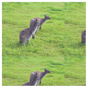 Australiensiska känguruer på grön betesmark, tyg