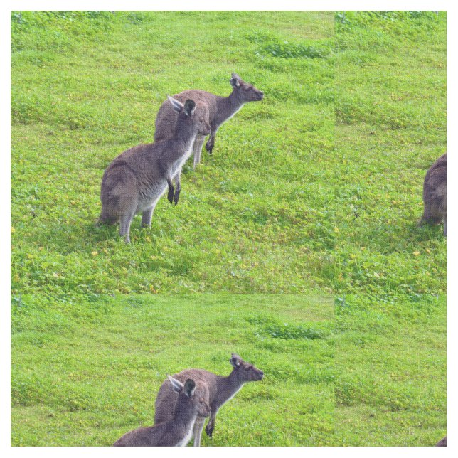 Australiensiska känguruer på grön betesmark, tyg (Närbild)