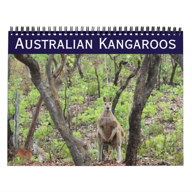 australiensiska kängurur 2026 kalender (Omslag)