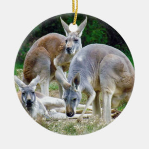 Australiensiska kängurur som kopplar av i solen julgransprydnad keramik