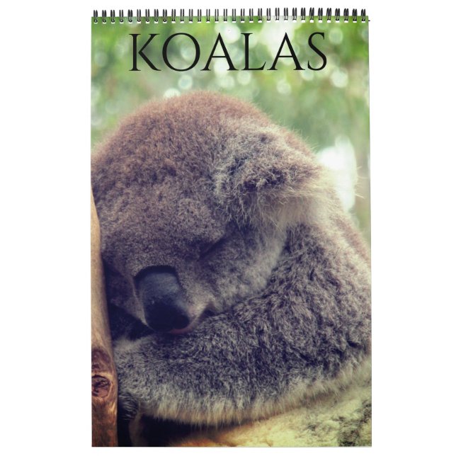australiensiska koalor 2026 kalender (Omslag)