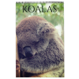 australiensiska koalor 2027 kalender