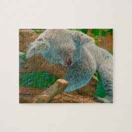 Australiensiska koalor pussel