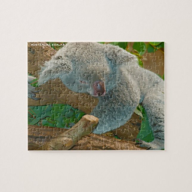 Australiensiska koalor pussel (Horisontell)