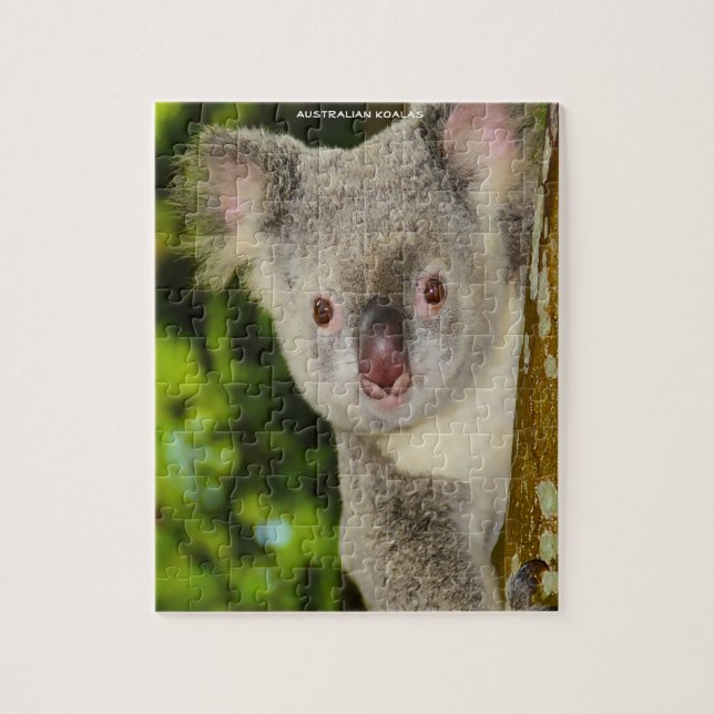 Australiensiska koalor pussel (Vertikal)
