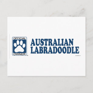 Australiensiska Labradoodle blått Vykort