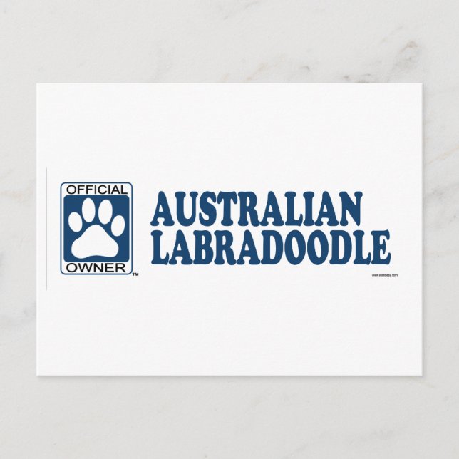 Australiensiska Labradoodle blått Vykort (Framsida)