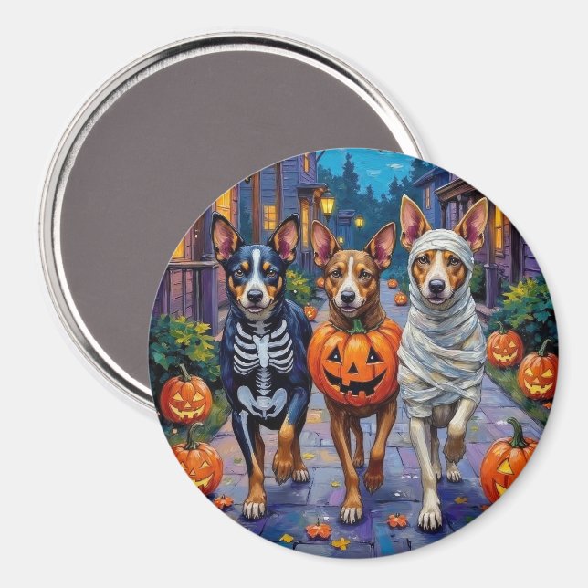 Australiensiska nötköter som går runt på halloween magnet (Front/Back)