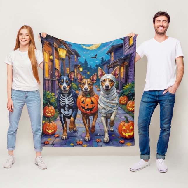 Australiensiska nötkreatur går runt på halloween fleecefilt (På plats)