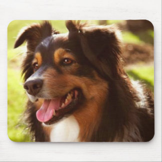 Australiensiska Shephard Mousepad Musmatta