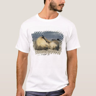 Australiensiska sjölejon, Neophoca cinerea), Tee