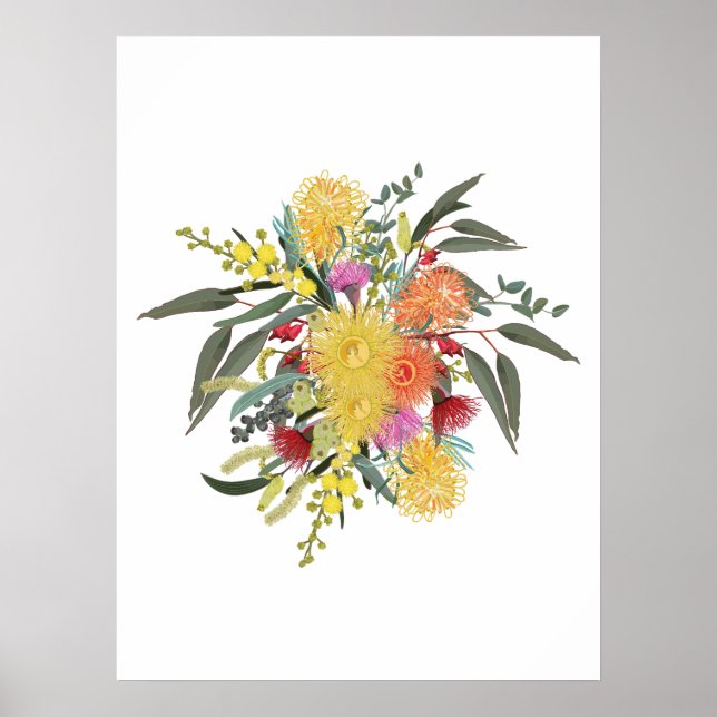 Australiensiska sommarblommor poster (Framsidan)